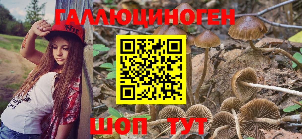 Псилоцибиновые грибы ЛСД  Галлюциногенные грибы мицелий  где найти   Вход с VPN  Алушта 