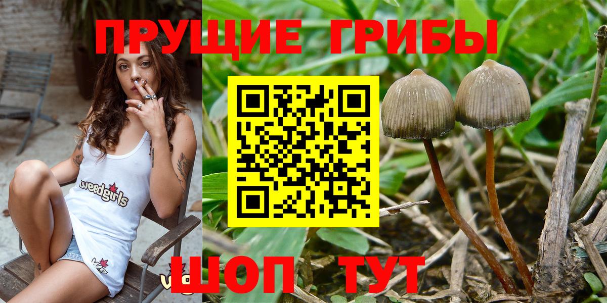 Псилоцибиновые грибы мухоморы Алушта